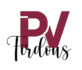 pv logo